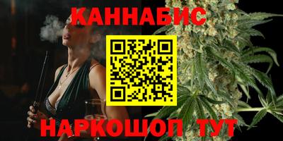 шишки Изобильный