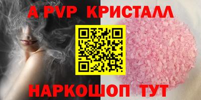 шишки Изобильный