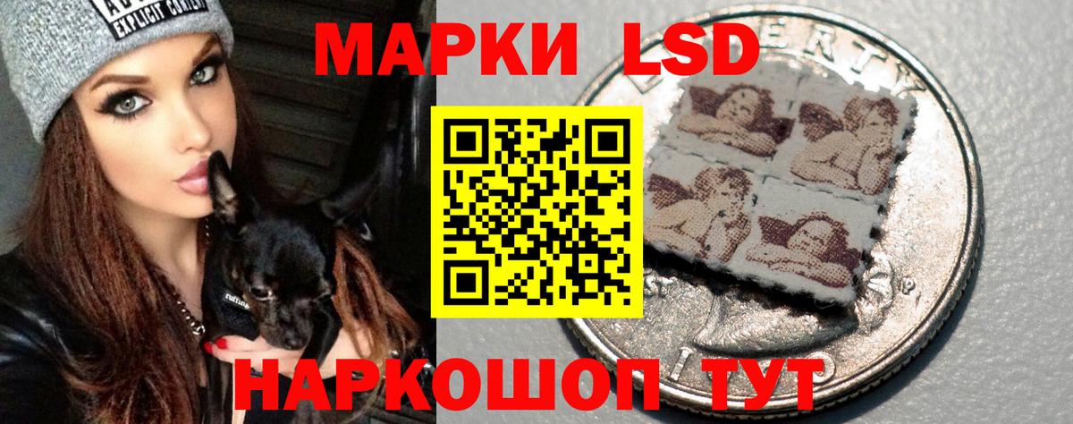 Заинск  hydra tor  LSD-25 экстази ecstasy  Вход с VPN  Лсд 25 экстази кислота  LSD-25 экстази 