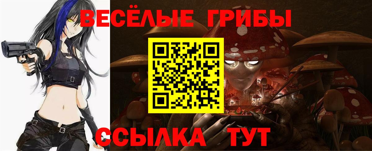 Псилоцибиновые грибы MAGIC MUSHROOMS  Вход с VPN  Заинск 